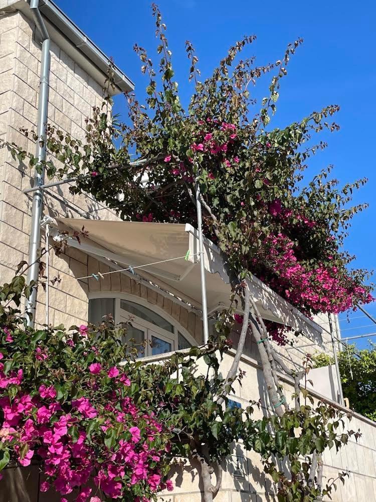Apartment Gordana Buzolic Hvar Town